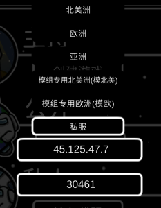 关于右下地球的Custom选项-憨批小站